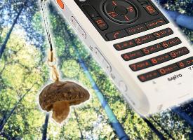 mushroom phone strap